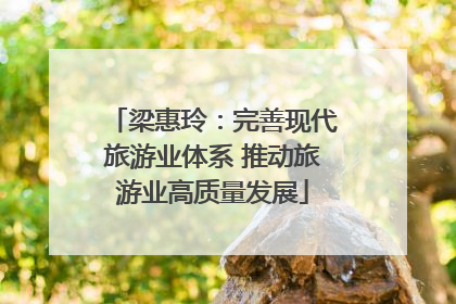 梁惠玲：完善现代旅游业体系 推动旅游业高质量发展
