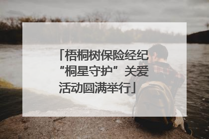 梧桐树保险经纪“桐星守护”关爱活动圆满举行