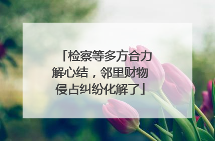检察等多方合力解心结，邻里财物侵占纠纷化解了