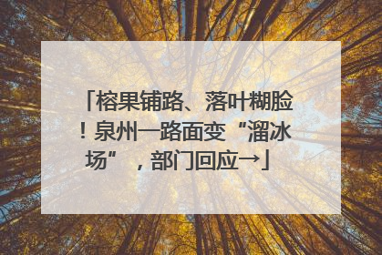 榕果铺路、落叶糊脸！泉州一路面变“溜冰场”，部门回应→
