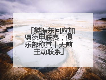 樊振东回应加盟德甲联赛，俱乐部称其十天前主动联系