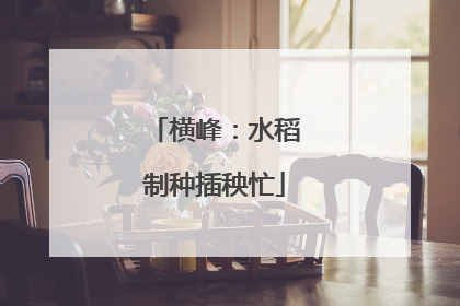 横峰：水稻制种插秧忙