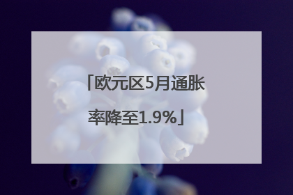 欧元区5月通胀率降至1.9%