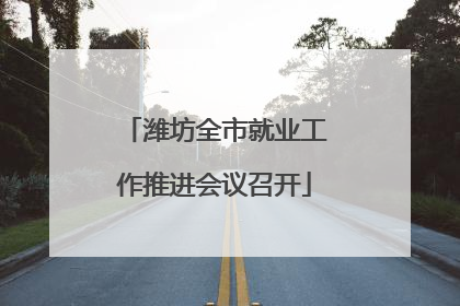 潍坊全市就业工作推进会议召开