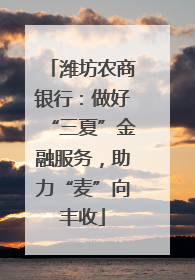 潍坊农商银行：做好“三夏”金融服务，助力“麦”向丰收