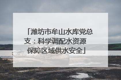 潍坊市牟山水库党总支：科学调配水资源 保障区域供水安全