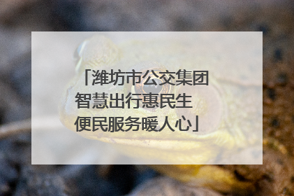 潍坊市公交集团智慧出行惠民生 便民服务暖人心