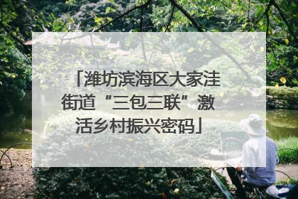 潍坊滨海区大家洼街道“三包三联”激活乡村振兴密码