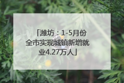 潍坊：1-5月份全市实现城镇新增就业4.27万人