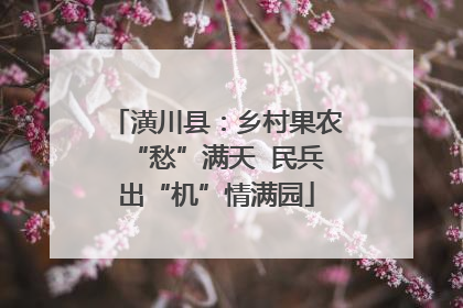 潢川县：乡村果农“愁”满天  民兵出“机”情满园