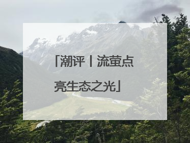 潮评丨流萤点亮生态之光