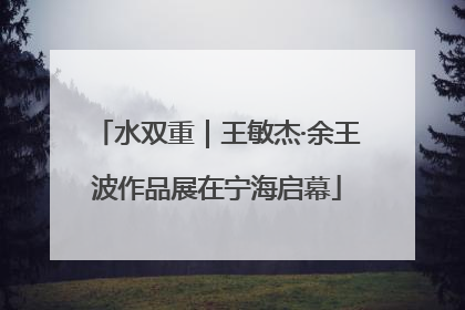 水双重｜王敏杰·余王波作品展在宁海启幕