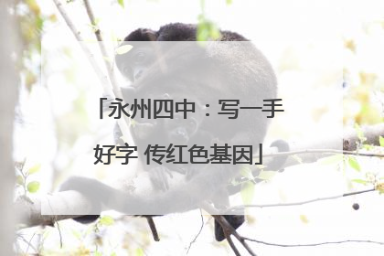 永州四中：写一手好字 传红色基因