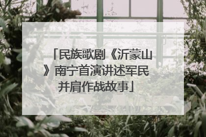 民族歌剧《沂蒙山》南宁首演讲述军民并肩作战故事