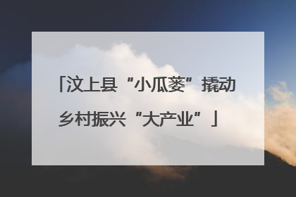 汶上县“小瓜蒌”撬动乡村振兴“大产业”