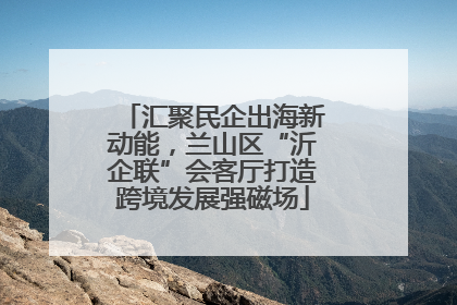 汇聚民企出海新动能，兰山区“沂企联”会客厅打造跨境发展强磁场