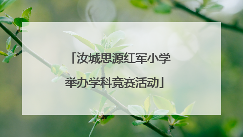 汝城思源红军小学举办学科竞赛活动