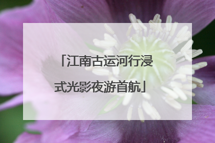 江南古运河行浸式光影夜游首航