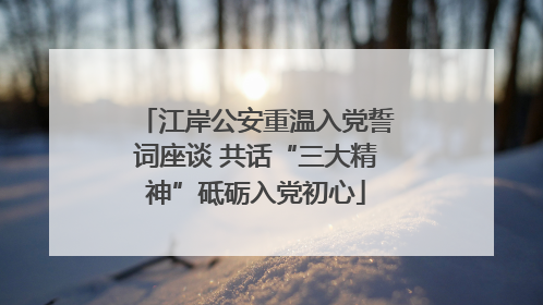 江岸公安重温入党誓词座谈 共话“三大精神”砥砺入党初心