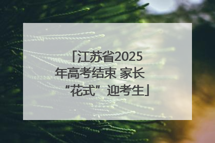 江苏省2025年高考结束 家长“花式”迎考生