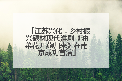 江苏兴化：乡村振兴题材现代淮剧《油菜花开燕归来》在南京成功首演