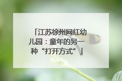 江苏徐州网红幼儿园：童年的另一种“打开方式”