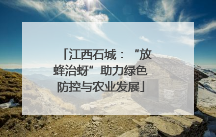 江西石城：“放蜂治蚜”助力绿色防控与农业发展
