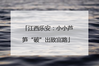 江西乐安：小小芦笋“破”出致富路