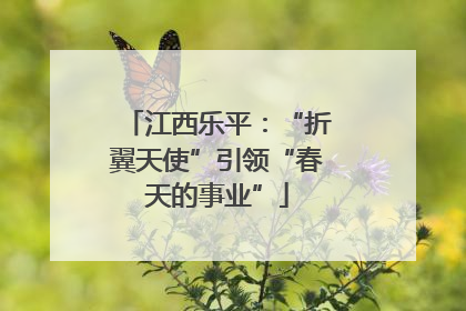 江西乐平：“折翼天使”引领“春天的事业”