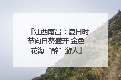 江西南昌：夏日时节向日葵盛开 金色花海“醉”游人