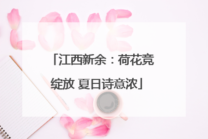 江西新余：荷花竞绽放 夏日诗意浓
