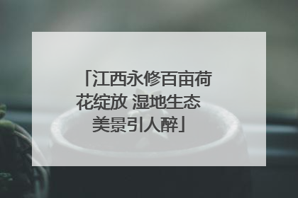 江西永修百亩荷花绽放 湿地生态美景引人醉
