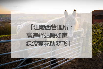 江陵西管理所：高速驿站暖如家 绿波葵花助梦飞