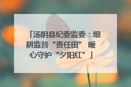汤阴县纪委监委：细耕监督“责任田” 暖心守护“夕阳红”