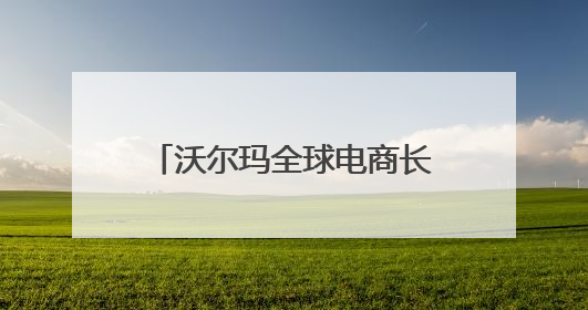沃尔玛全球电商长沙办公室正式开业