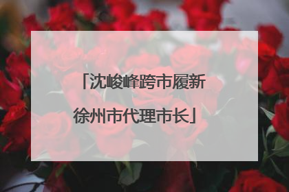 沈峻峰跨市履新徐州市代理市长