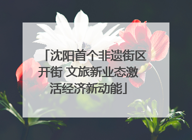 沈阳首个非遗街区开街 文旅新业态激活经济新动能