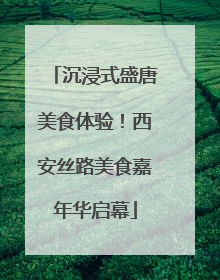 沉浸式盛唐美食体验！西安丝路美食嘉年华启幕