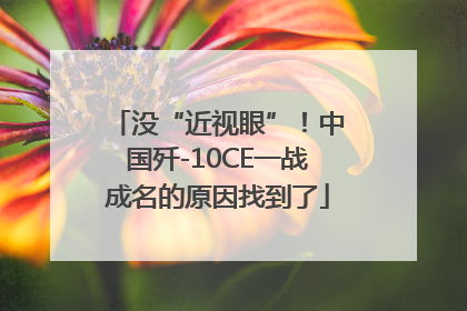 没“近视眼”！中国歼-10CE一战成名的原因找到了