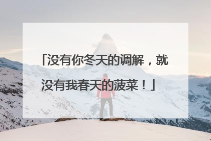 没有你冬天的调解，就没有我春天的菠菜！