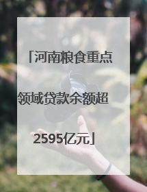 河南粮食重点领域贷款余额超2595亿元