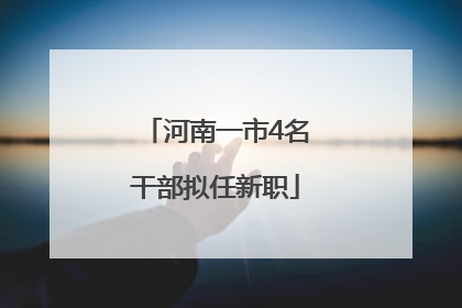 河南一市4名干部拟任新职