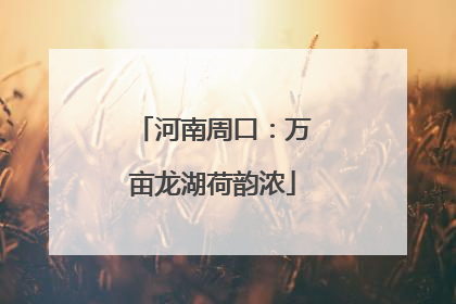 河南周口：万亩龙湖荷韵浓