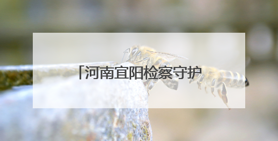 河南宜阳检察守护古建筑消防安全