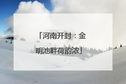 河南开封：金明池畔荷韵浓