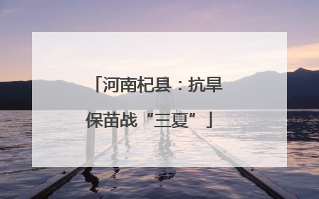 河南杞县：抗旱保苗战“三夏”