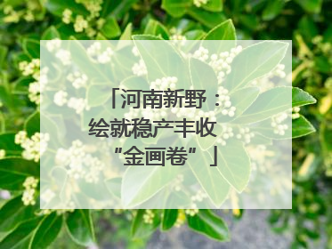 河南新野：绘就稳产丰收“金画卷”