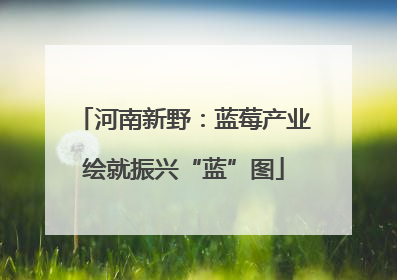 河南新野：蓝莓产业绘就振兴“蓝”图