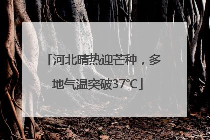 河北晴热迎芒种，多地气温突破37℃