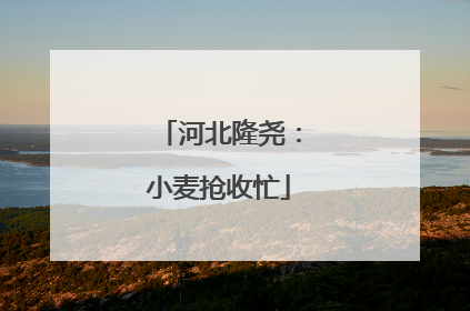 河北隆尧：小麦抢收忙